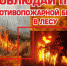 JPG Файл - ОМВД по Соль-Илецкому г.о.