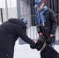 JPG Файл - ОМВД по Соль-Илецкому г.о.