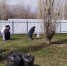 images - Соль-Илецкий городской округ