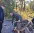 images - Соль-Илецкий городской округ