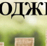 В Совет депутатов представлен проект основного документа муниципального образования - Газета Илецкая Защита